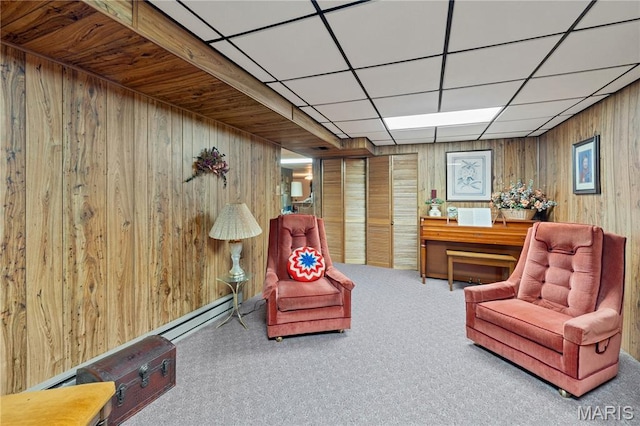 1847 Stoddard St, Cape Girardeau, MO 63701 - photo 34
