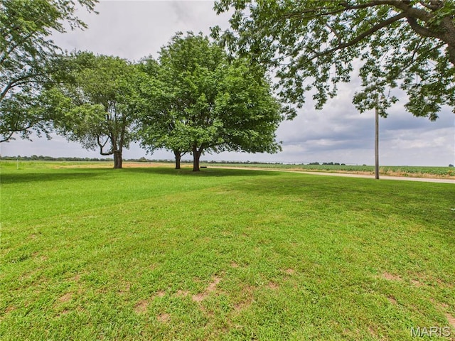 1207 N Madison St, Malden, MO 63863 - photo 36