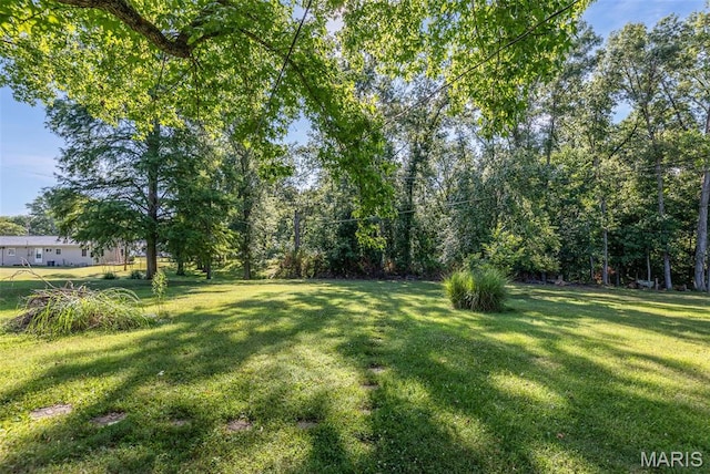 5 Edgewood Rd, Mount Vernon, IL 62864 - photo 26