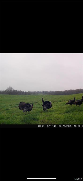 1058 Fox Run Rd, Elsberry, MO 63343