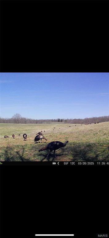 1058 Fox Run Rd, Elsberry, MO 63343