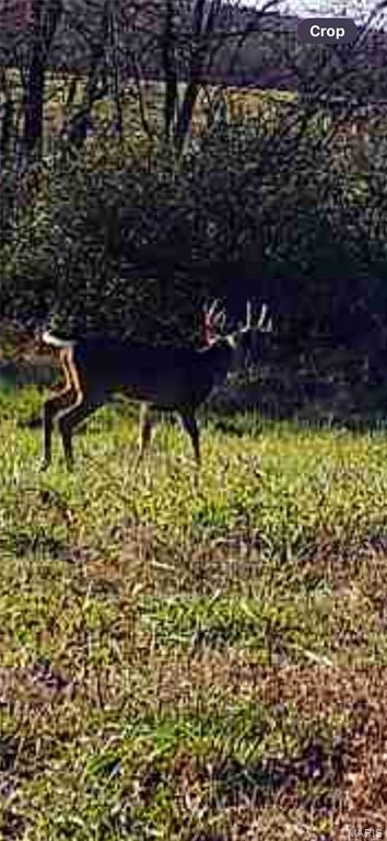 1058 Fox Run Rd, Elsberry, MO 63343