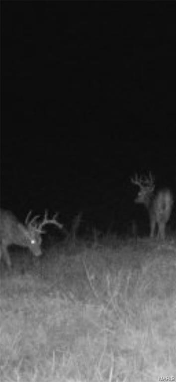 1058 Fox Run Rd, Elsberry, MO 63343