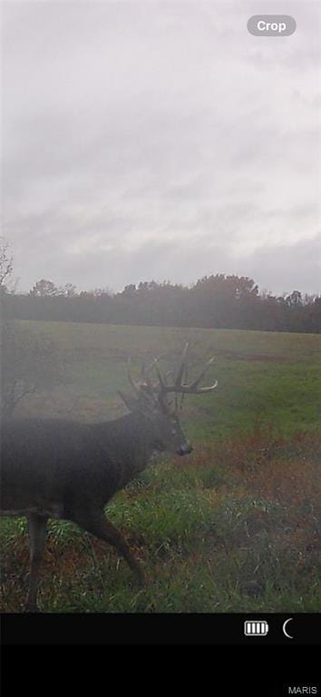 1058 Fox Run Rd, Elsberry, MO 63343