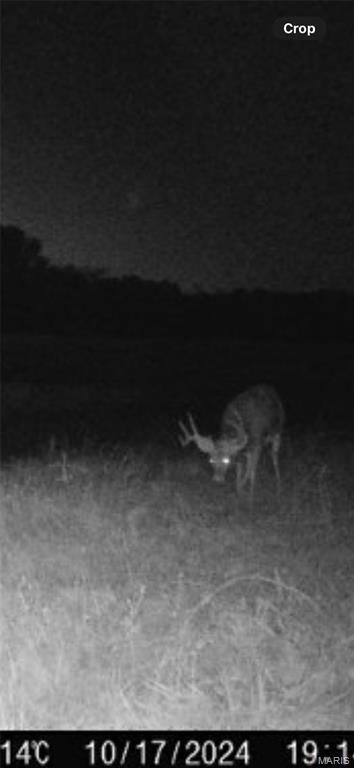 1058 Fox Run Rd, Elsberry, MO 63343