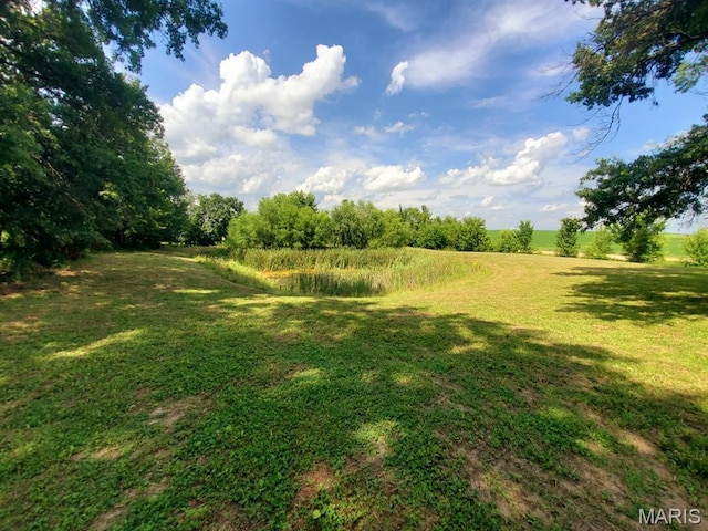 25831 135th Ave, La Belle, MO 63447 - photo 17