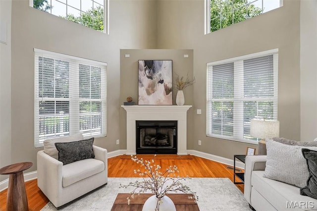 1011 Hawks Landing Dr, Lake St Louis, MO 63367 - living room featuring a high ceiling, wood finished floors, plenty of natural light, and a glass covered fireplace