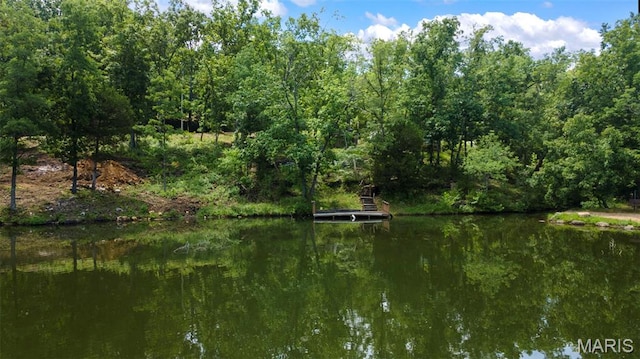 5137 N View Dr, Perryville, MO 63775 - photo 2