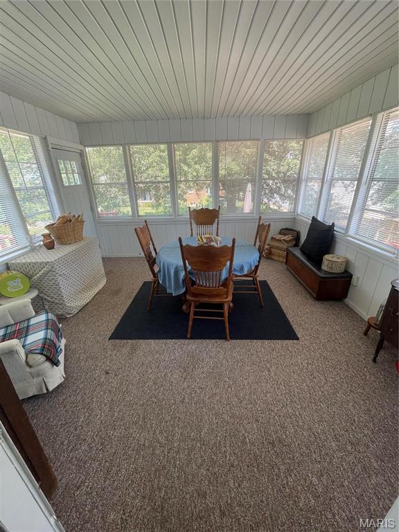 1810 Montview Ave, Godfrey, IL 62035 - photo 17
