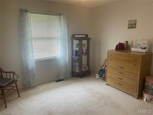 1810 Montview Ave, Godfrey, IL 62035 - photo 33
