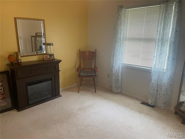 1810 Montview Ave, Godfrey, IL 62035 - photo 34