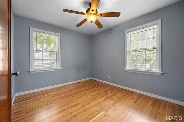 7305 Morganford Rd, Mo, MO 63116 - photo 12