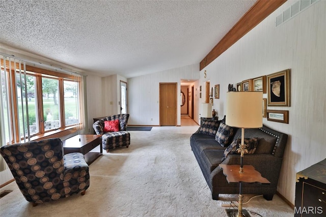 613 N W St, Raymond, IL 62560 - carpeted living room with a textured ceiling and vaulted ceiling
