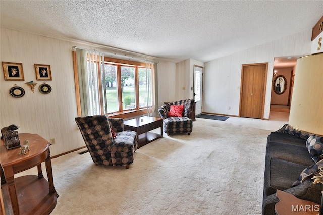 613 N W St, Raymond, IL 62560 - living room featuring a textured ceiling, carpet, and vaulted ceiling