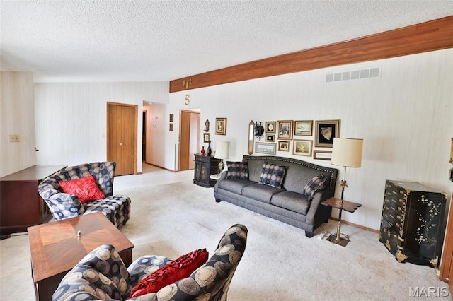 613 N W St, Raymond, IL 62560 - living room with carpet flooring, a textured ceiling, and wood walls