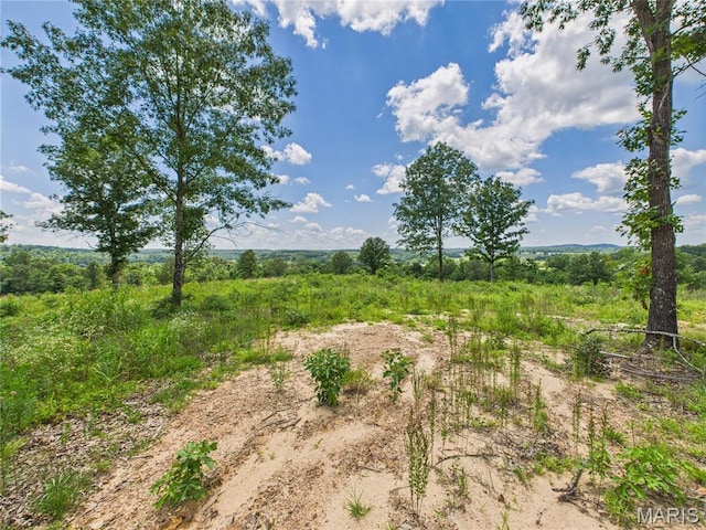 970 Ripley 142 W-1, Doniphan, MO 63935 - photo 37