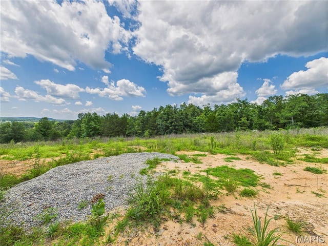 970 Ripley 142 W-1, Doniphan, MO 63935 - photo 39