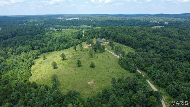 970 Ripley 142 W-1, Doniphan, MO 63935 - photo 40
