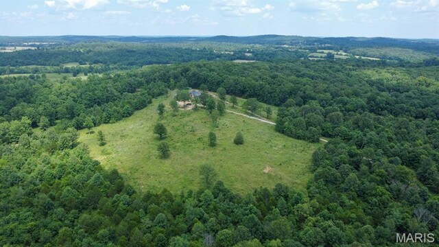 970 Ripley 142 W-1, Doniphan, MO 63935 - photo 41