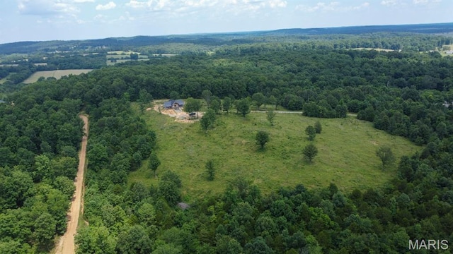 970 Ripley 142 W-1, Doniphan, MO 63935 - photo 42