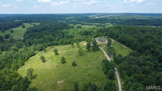 970 Ripley 142 W-1, Doniphan, MO 63935 - photo 5