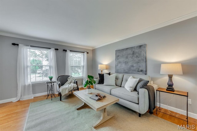 13153 Barrett Meadows Dr, Ballwin, MO 63021 - living room featuring crown molding and light wood-style floors