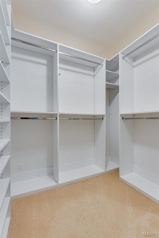 13153 Barrett Meadows Dr, Ballwin, MO 63021 - view of walk in closet