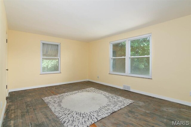 110 N 74th St, Belleville, IL 62223 - spare room featuring plenty of natural light and hardwood / wood-style flooring
