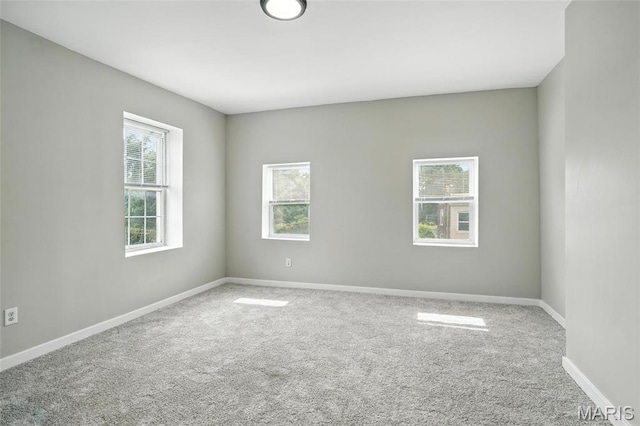 3719 Wisconsin Ave, Saint Louis, MO 63118 - photo 12