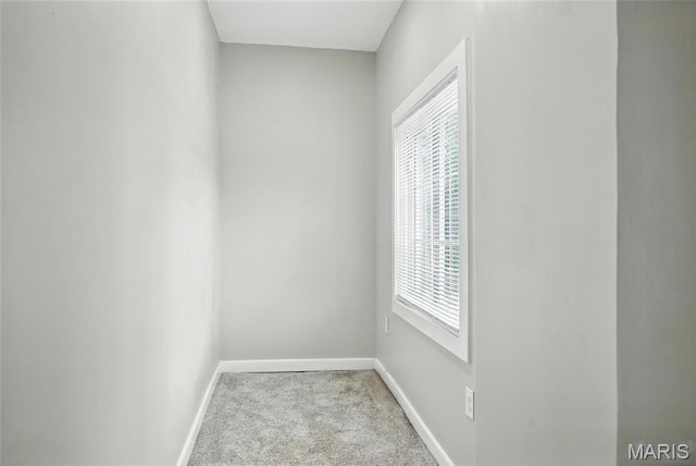 3719 Wisconsin Ave, Saint Louis, MO 63118 - photo 15