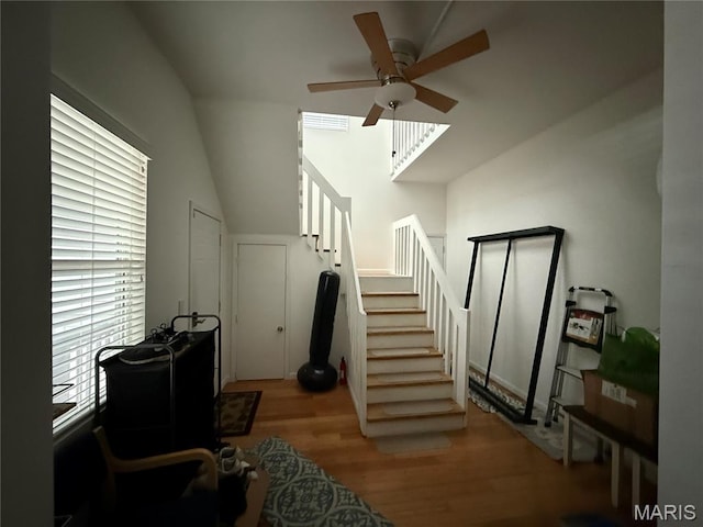 3217 Lafayette Ave, Saint Louis, MO 63104 - photo 36