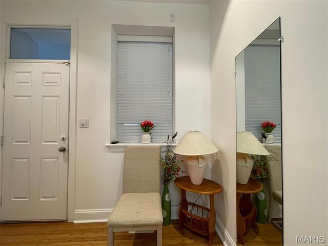 3217 Lafayette Ave, Saint Louis, MO 63104 - photo 24