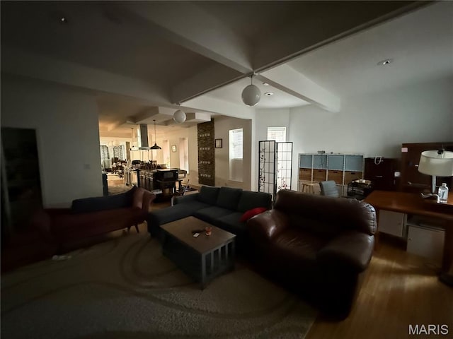 3217 Lafayette Ave, Saint Louis, MO 63104 - photo 31