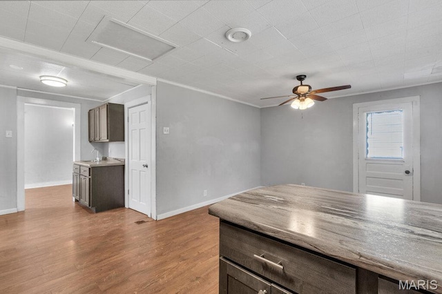 401 Estelle Ave, Ferguson, MO 63135 - kitchen featuring a ceiling fan, wood finished floors, and light countertops