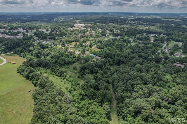 304 Warren St, Richland, MO 65556 - drone / aerial view of a forest