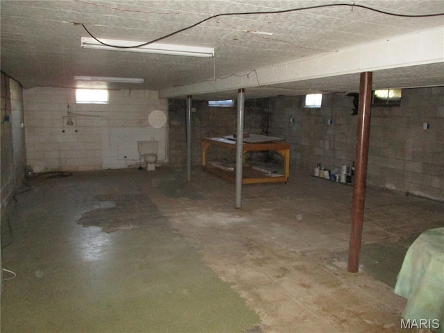 103 Paulette St, Chester, IL 62233 - below grade area with healthy amount of natural light