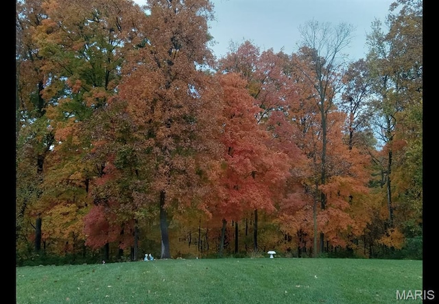 1032 Timber Bluff Dr, Wentzville, MO 63385 - view of community featuring a wooded view and a lawn