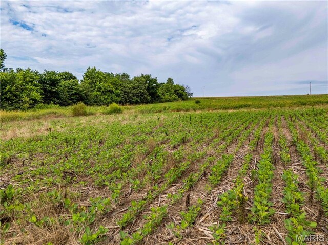 00 Wyatt Rd, Jonesburg, MO 63351 - photo 11