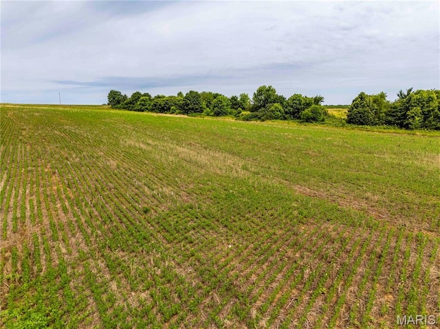 00 Wyatt Rd, Jonesburg, MO 63351 - photo 18