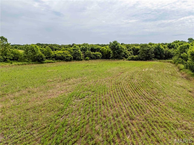 00 Wyatt Rd, Jonesburg, MO 63351 - photo 21