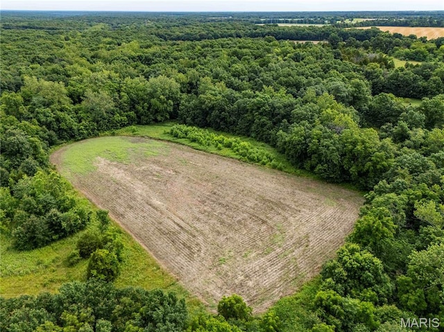 00 Wyatt Rd, Jonesburg, MO 63351 - photo 32