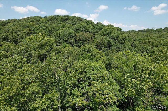 1333 Poor Farm Hollow Rd, Hardin, IL 62047 - view of tree filled area