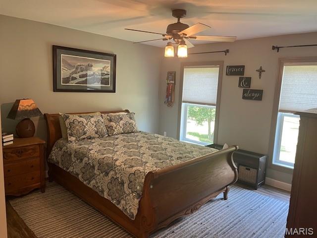 1333 Poor Farm Hollow Rd, Hardin, IL 62047 - bedroom with wood finished floors and ceiling fan