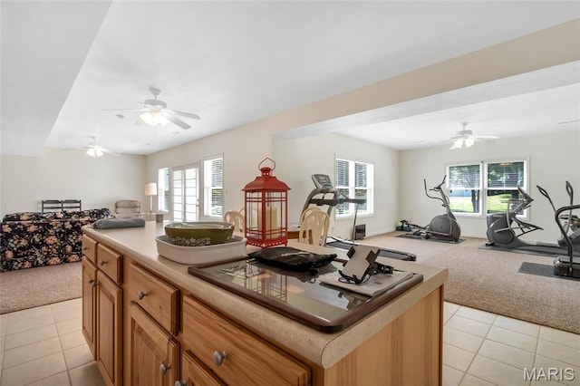107 Saint Marys Ln, Old Monroe, MO 63369 - photo 50