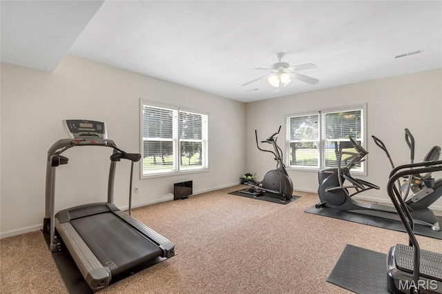 107 Saint Marys Ln, Old Monroe, MO 63369 - photo 51