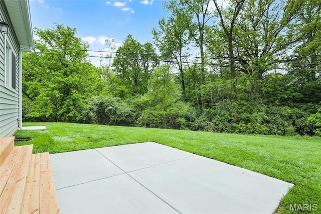 683 Bellerive Estates Dr, Saint Louis, MO 63141 - photo 34