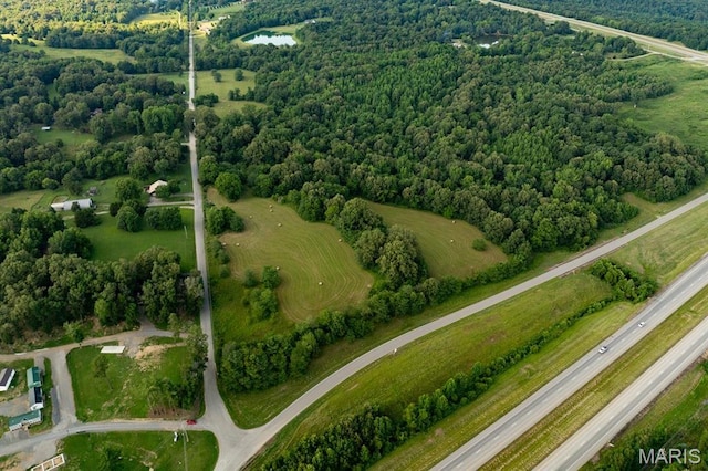14038 County Road 405, Dexter, MO 63841 - photo 1