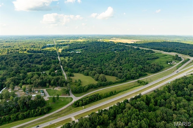 14038 County Road 405, Dexter, MO 63841 - photo 3