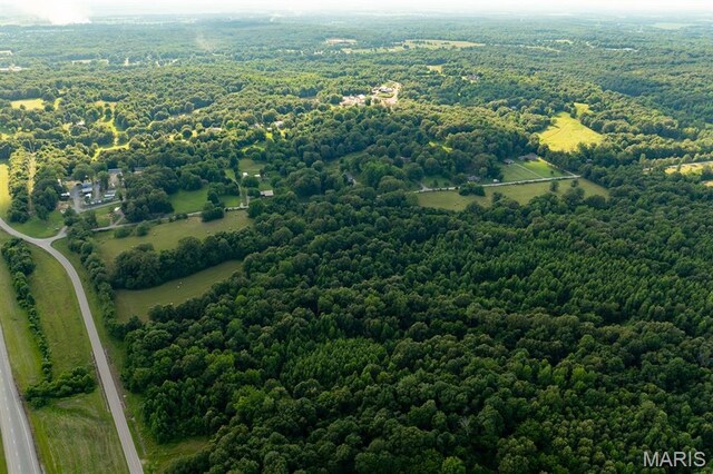 14038 County Road 405, Dexter, MO 63841 - photo 5