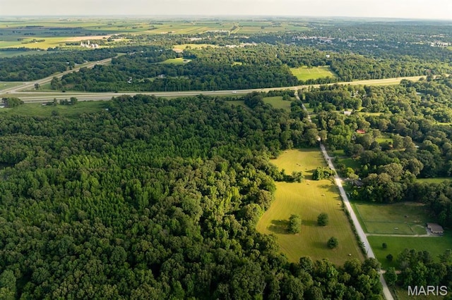 14038 County Road 405, Dexter, MO 63841 - photo 7